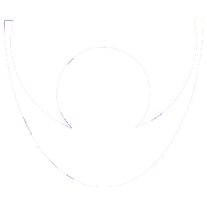 Vision Support Logo in White