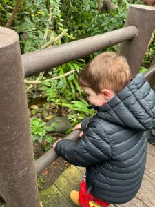 A young child wearing a black padded jacket and red trousers stands on a wooden walkway, leaning on a railing and looking down at plants and stones in a small garden area below.